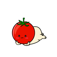 じっと見る小ちゃなミニトマト