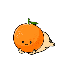 じっと見る小ちゃなオレンジ