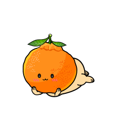 じっと見る小ちゃなデコポン