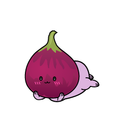 じっと見る小ちゃなイチジク