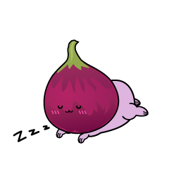 眠る小ちゃなイチジク