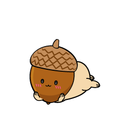 じっと見る小ちゃなどんぐり