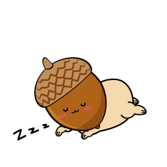 眠る小ちゃなどんぐり
