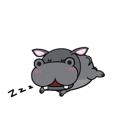 眠る小ちゃなカバ