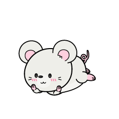 じっと見る小ちゃな白ネズミ