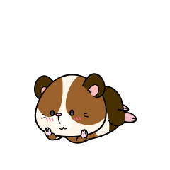 じっと見る小ちゃなモルモット