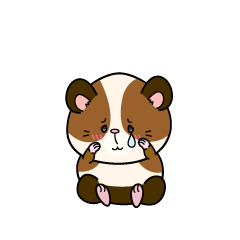 悲しい小ちゃなモルモット