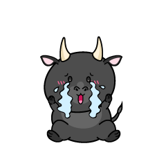 大泣きする小ちゃな黒毛牛