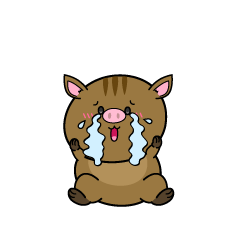 大泣きする小ちゃなイノシシ