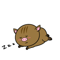 眠る小ちゃなイノシシ