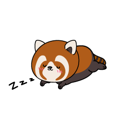 眠る小ちゃなレッサーパンダ