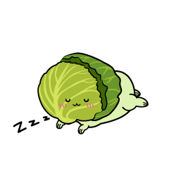 眠る小ちゃなキャベツ