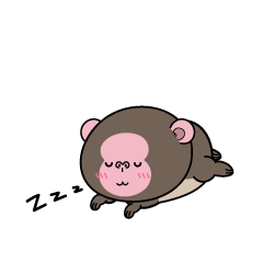 眠る小ちゃなニホンザル