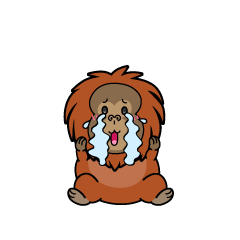 大泣きする小ちゃなオラウータン