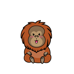 笑う小ちゃなオラウータン