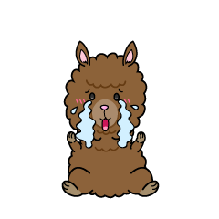 大泣きする小ちゃなリャマ