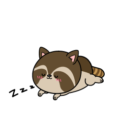 眠る小ちゃなアライグマ