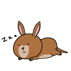 眠る小ちゃなカンガルー