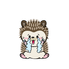 大泣きする小ちゃなハリネズミ