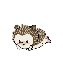 じっと見る小ちゃなハリネズミ