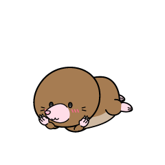 じっと見る小ちゃなモグラ