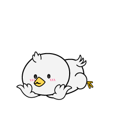 じっと見る小ちゃな白いハト