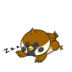 眠る小ちゃなスズメ