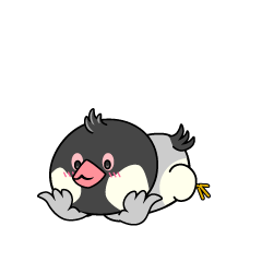 じっと見る小ちゃな文鳥