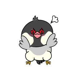 熱意のある小ちゃな文鳥