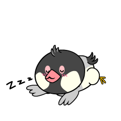 眠る小ちゃな文鳥