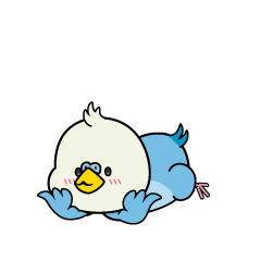 じっと見る小ちゃなインコ