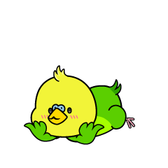 じっと見る小ちゃなセキセイインコ