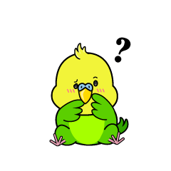考える小ちゃなセキセイインコ