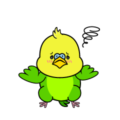 困る小ちゃなセキセイインコ