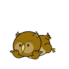 じっと見る小ちゃなフクロウ