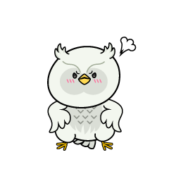 怒る小ちゃな白いフクロウ