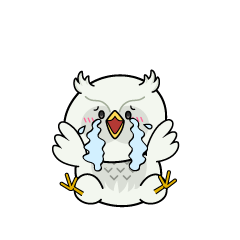 大泣きする小ちゃな白いフクロウ