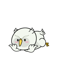 じっと見る小ちゃな白いフクロウ