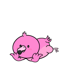 じっと見る小ちゃなフラミンゴ