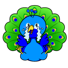 大泣きする小ちゃなクジャク