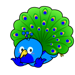 じっと見る小ちゃなクジャク