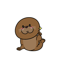 指差しする小ちゃなアザラシ