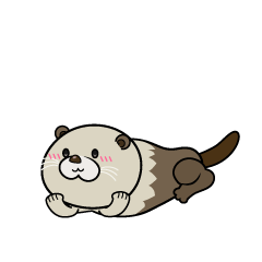 じっと見る小ちゃなラッコ