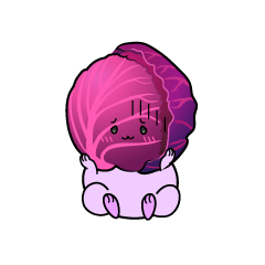 絶望する小ちゃな紫キャベツ