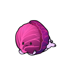 じっと見る小ちゃな紫キャベツ