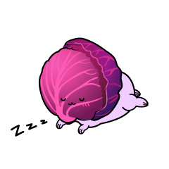 眠る小ちゃな紫キャベツ