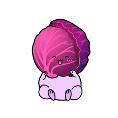 笑顔の小ちゃな紫キャベツ