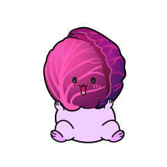 驚く小ちゃな紫キャベツ