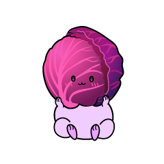 小ちゃな紫キャベツ