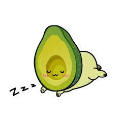 眠る小ちゃなアボカド